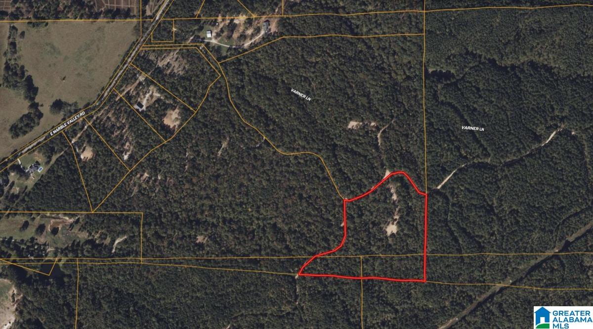 5565 Red Robin Road Sylacauga, AL 35151 - Photo 11 of 15
