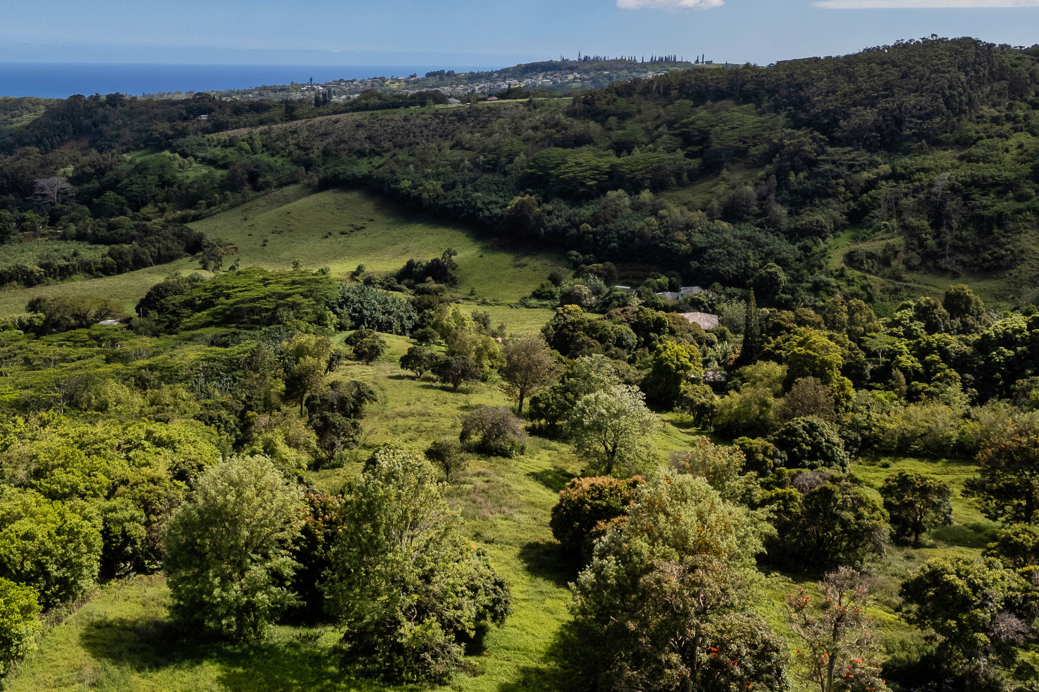 5078 Lot 44 Kua Road Kalaheo, HI 96741 - Photo 10 of 14