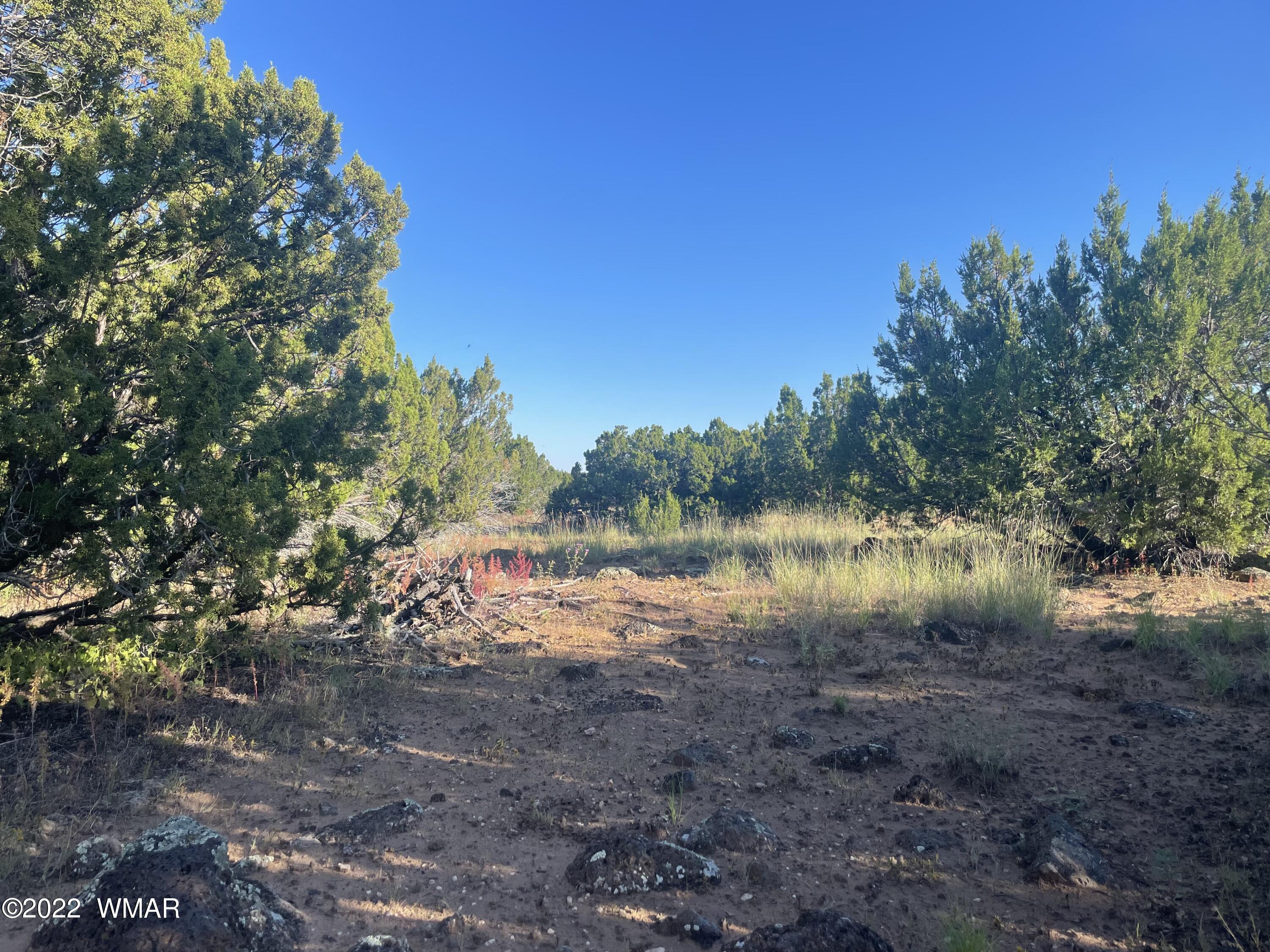13 County Road Concho, AZ 85924 - Photo 3 of 7 a view of lake with green space