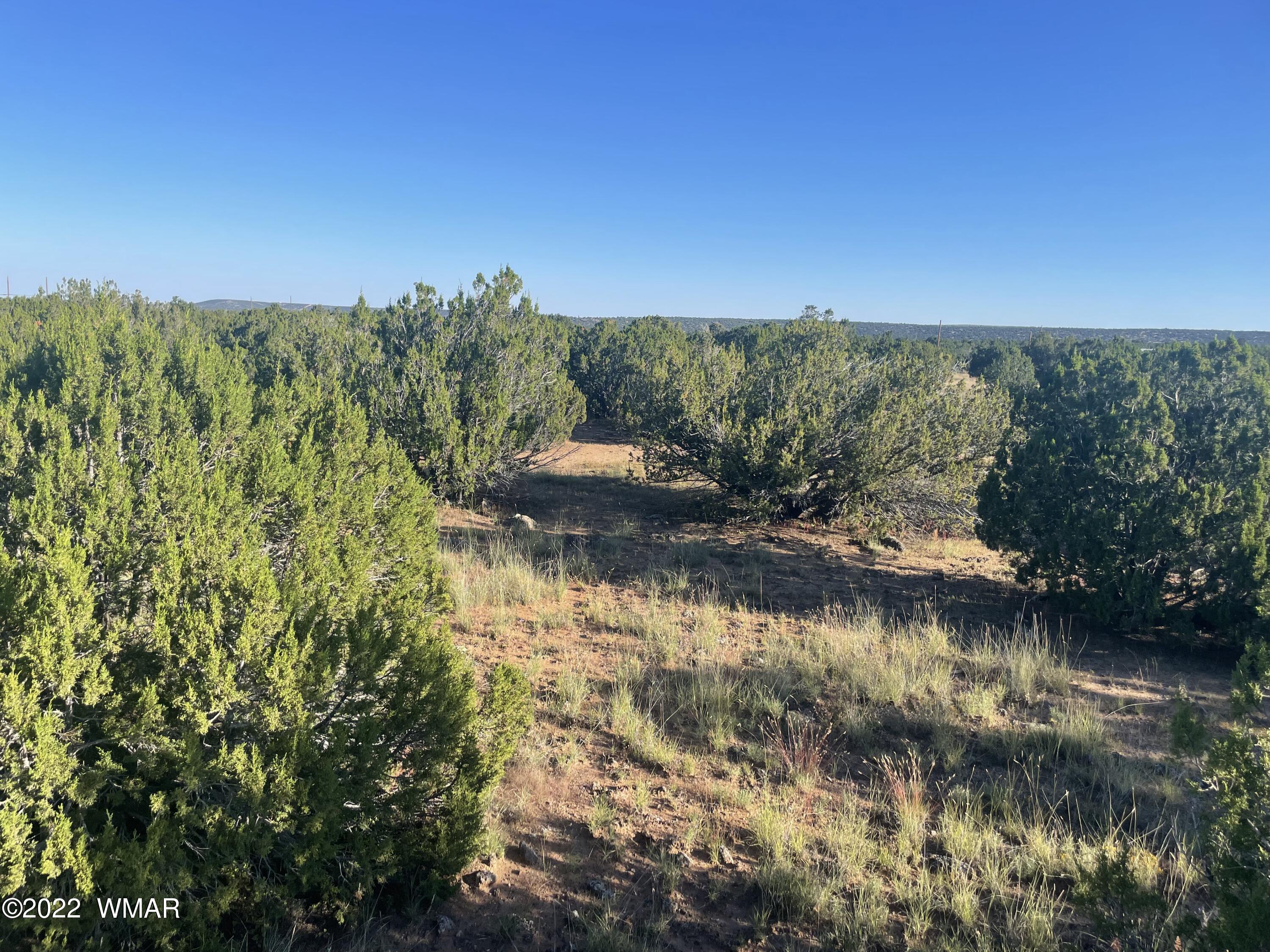 13 County Road Concho, AZ 85924 - Photo 5 of 7 a view of a lake with houses in the background