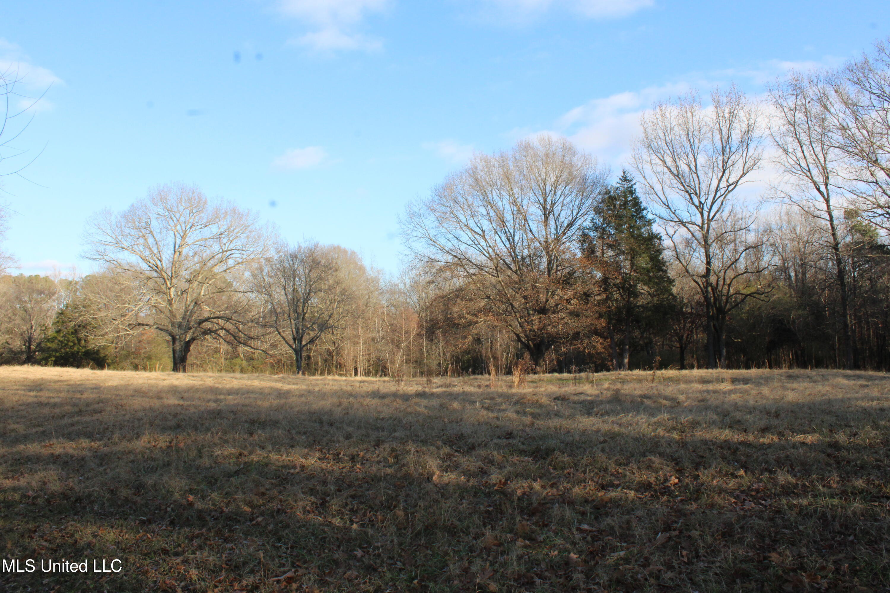 4299 Byhalia Road Hernando, MS 38632 - Photo 23 of 33 IMG_5468