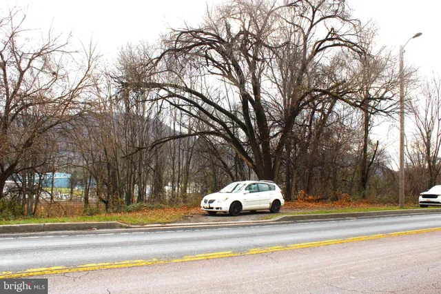 a white house that has a tree in front of it