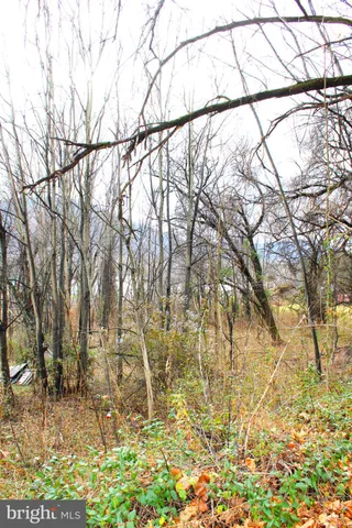 a backyard of a house with lots of green space and wooden fence