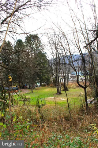 a view of a yard with a tree