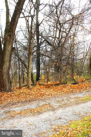 a view of a yard covered with snow in the yard