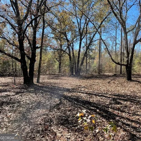 a view of backyard with large trees