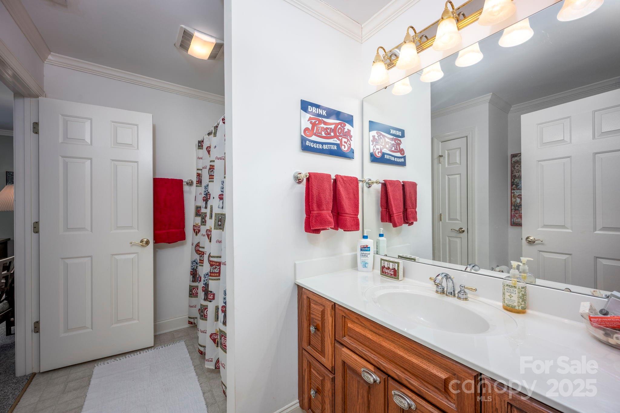 3622 Roxburgh Lane Gastonia, NC 28056 - Photo 30 of 47 a bathroom with a sink vanity and a mirror