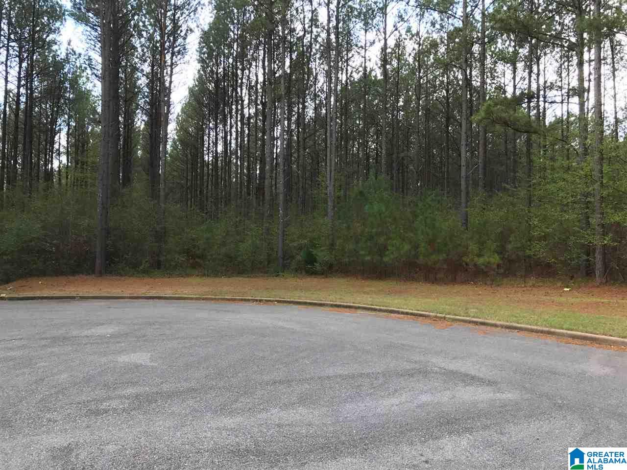 78 Pilgrims Path, Unit 19 Anniston, AL 36207 - Photo 28 of 35