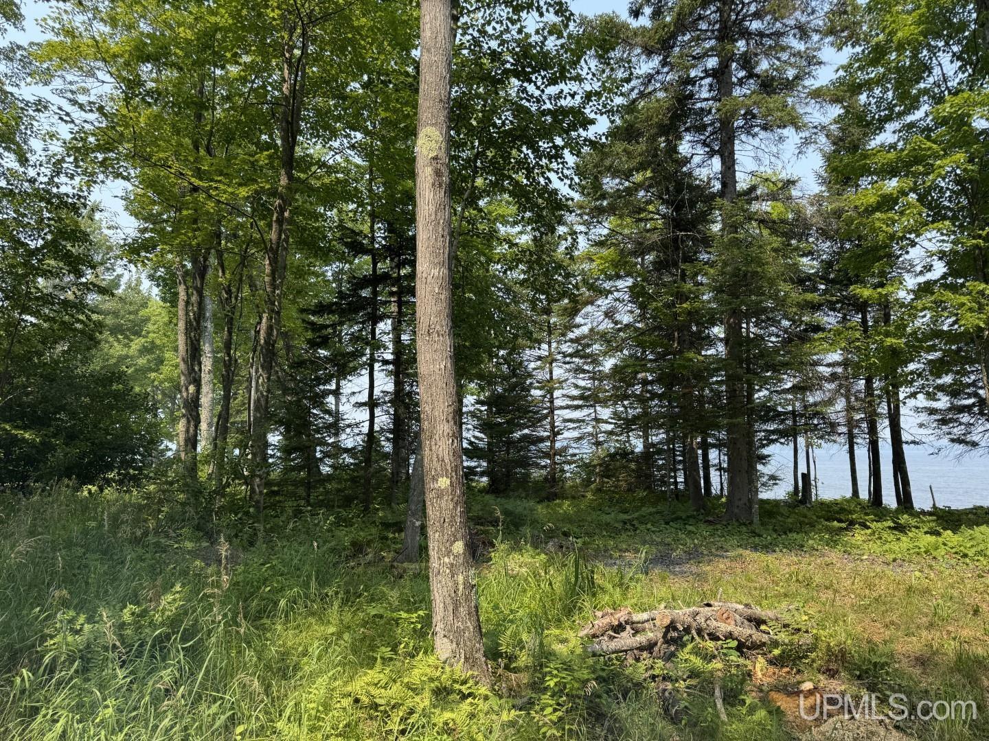 Tbd Gauthier Road Skanee, MI 49962 - Photo 7 of 16 Gallery Image 7