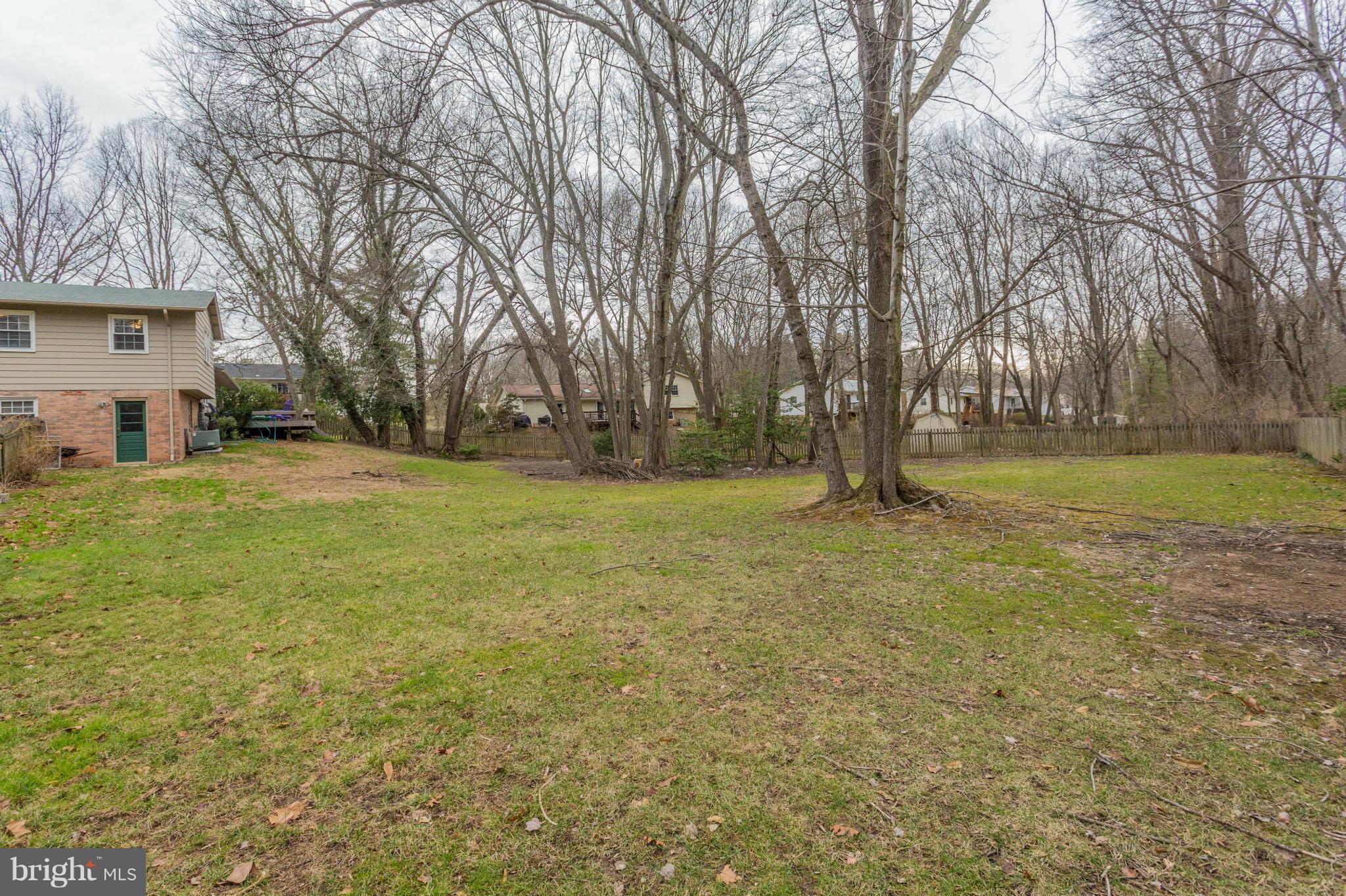 9810 Vale Road Vienna, VA 22181 - Photo 28 of 30 a view of a yard with plants and trees