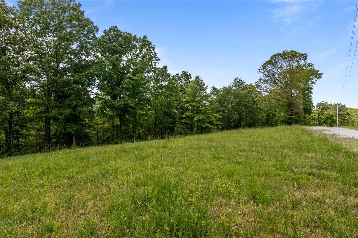 0 Western Road Waverly, TN 37185 - Photo 4 of 18