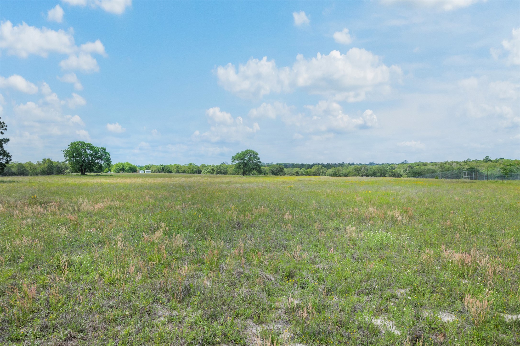 622 Red Rock Ranch Road Red Rock, TX 78662 - Photo 6 of 46 a view of a lake with houses in the back
