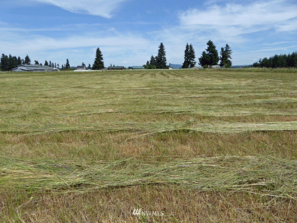 17200 Leitner Road Southwest Rochester, WA 98579 - Photo 23 of 25