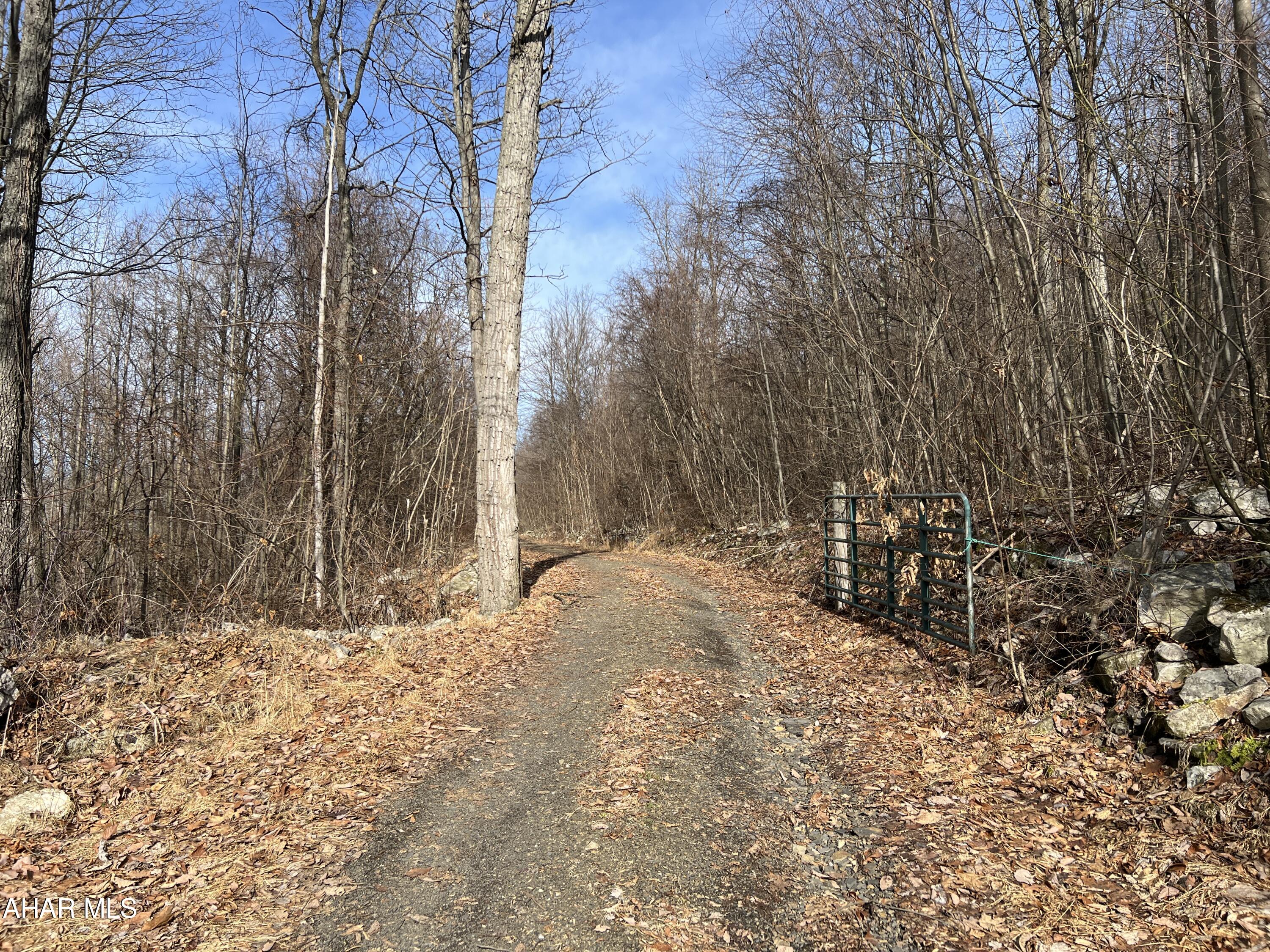 0 Brumbaugh Road Osterburg, PA 16667 - Photo 20 of 30