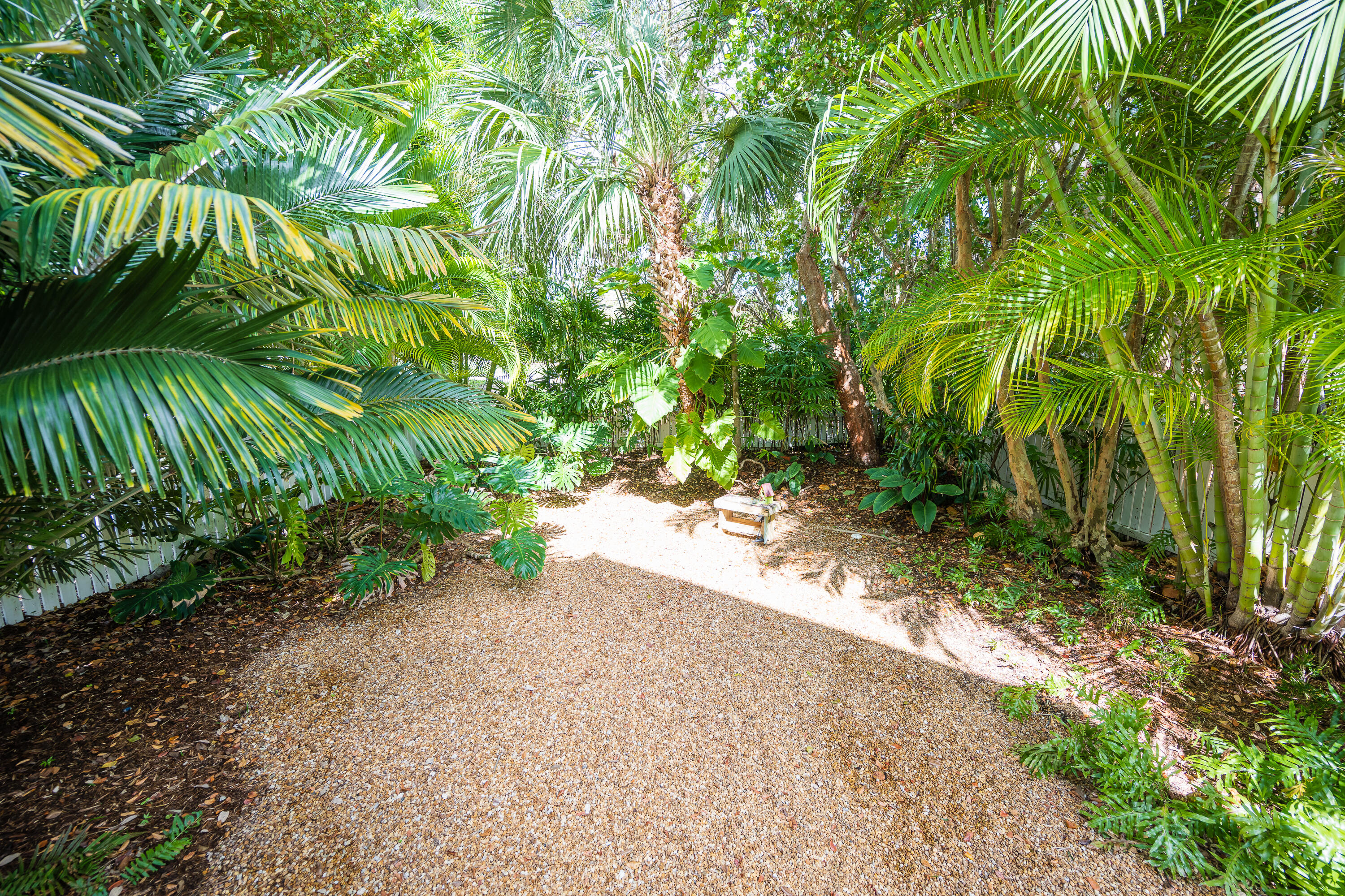 28 Spoonbill Way Key West, FL 33040 - Photo 27 of 82 a view of a yard with plants and large trees