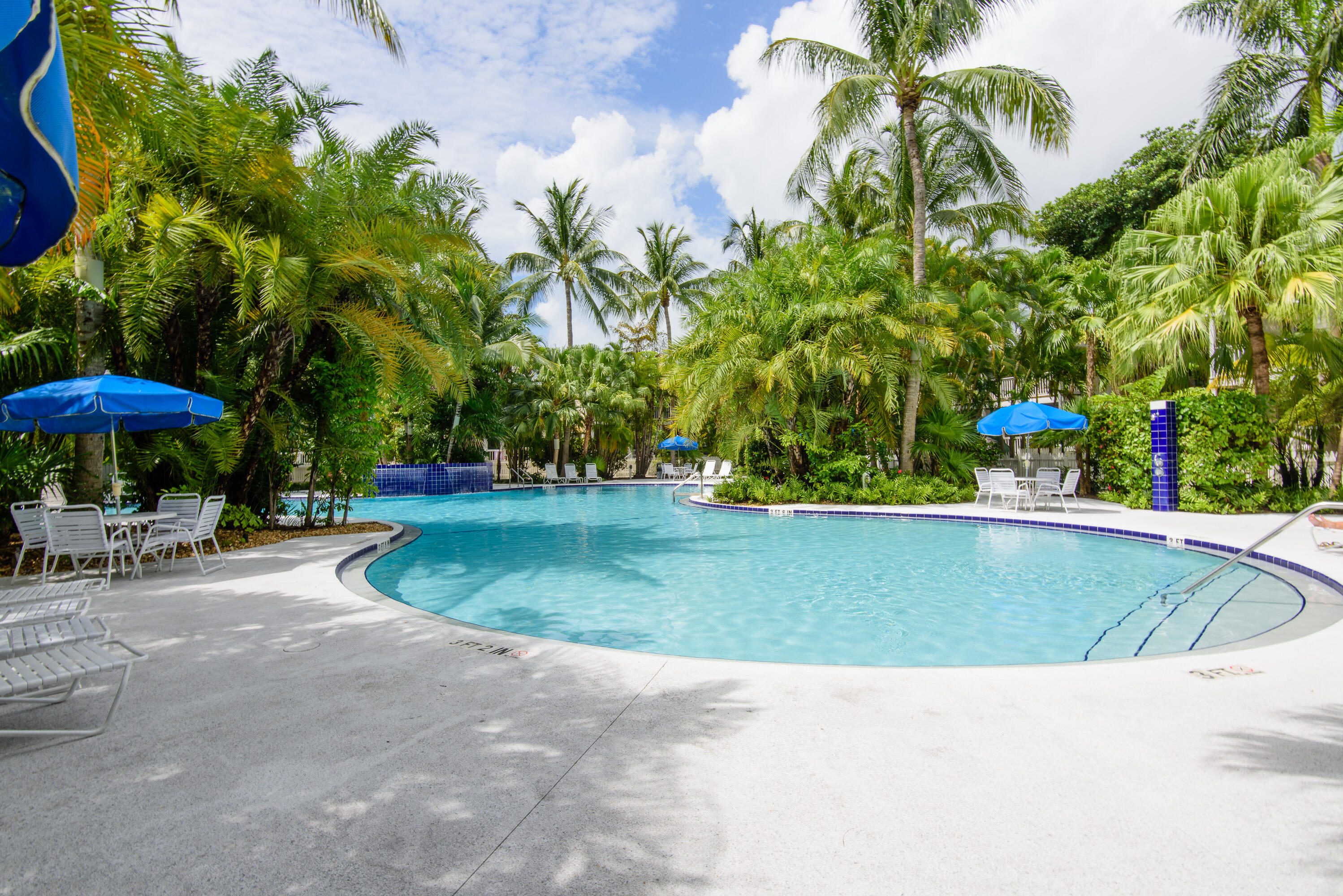 28 Spoonbill Way Key West, FL 33040 - Photo 68 of 82 a view of a swimming pool in a backyard