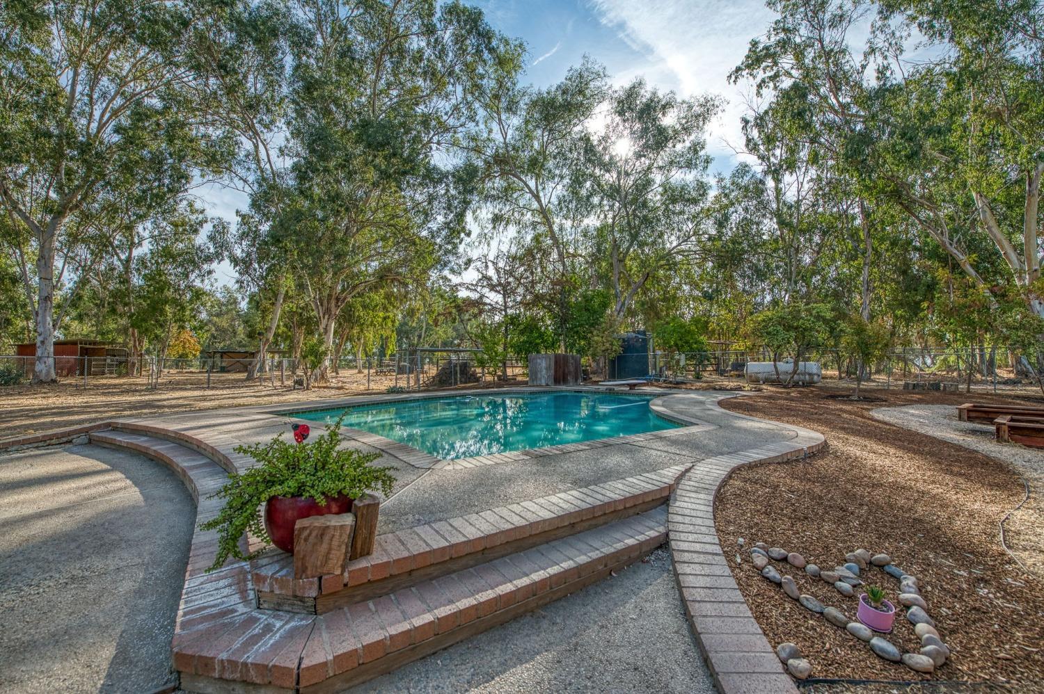 12592 Auberry Road Clovis, CA 93619 - Photo 30 of 65 a view of a garden with patio