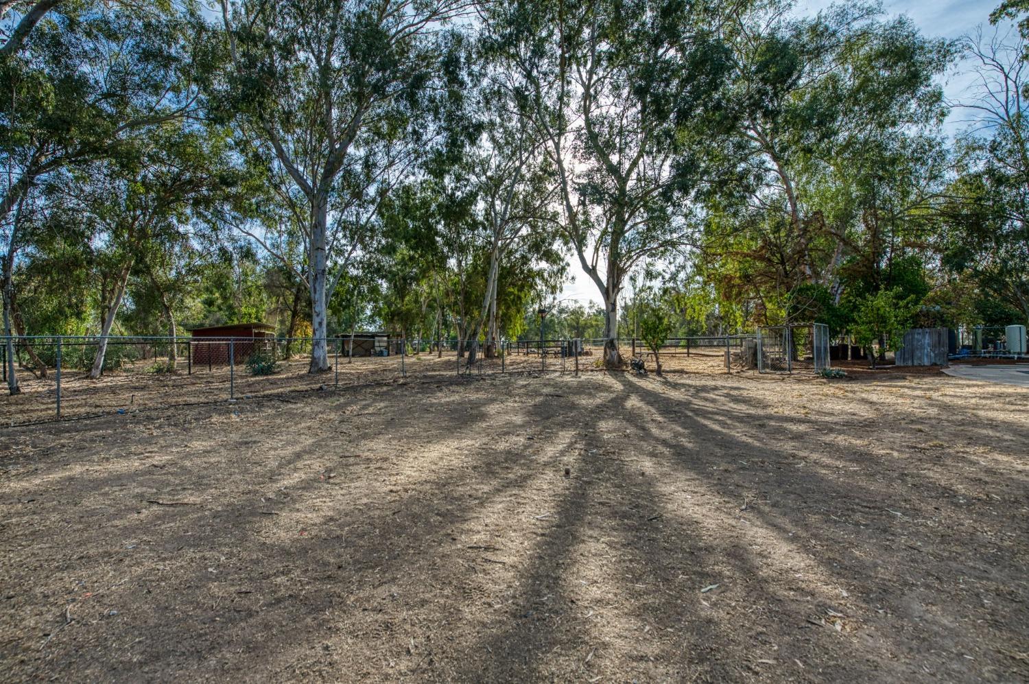 12592 Auberry Road Clovis, CA 93619 - Photo 46 of 65 a view of outdoor space with trees