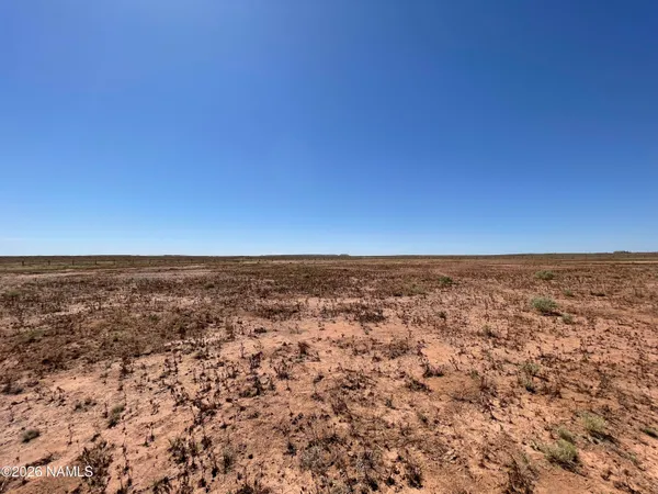 $20,000 | 1 Ranch Land Road, Leuppx, AZ 86035