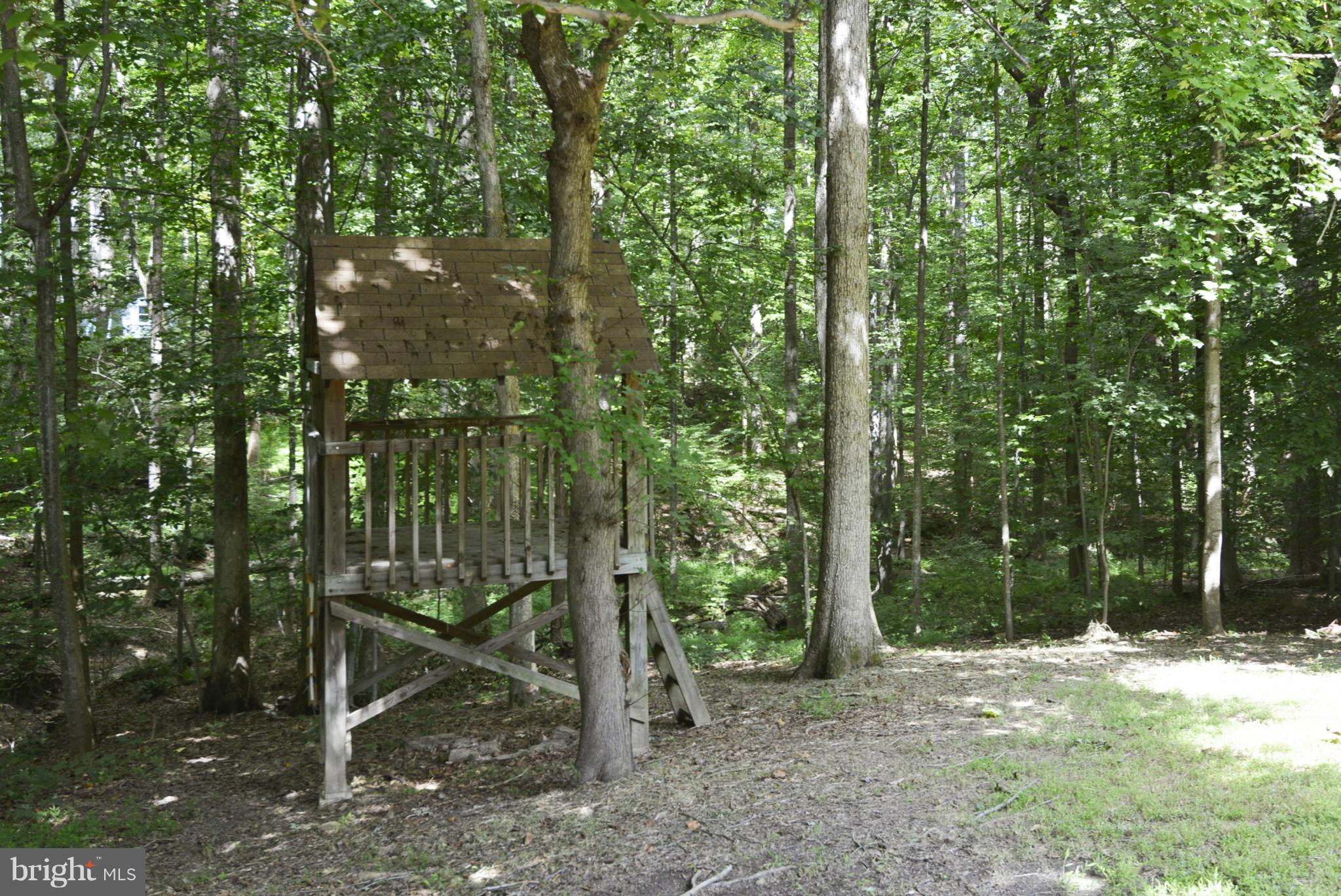 9002 Octavia Court Springfield, VA 22153 - Photo 29 of 29 Gorgeous Wooded View