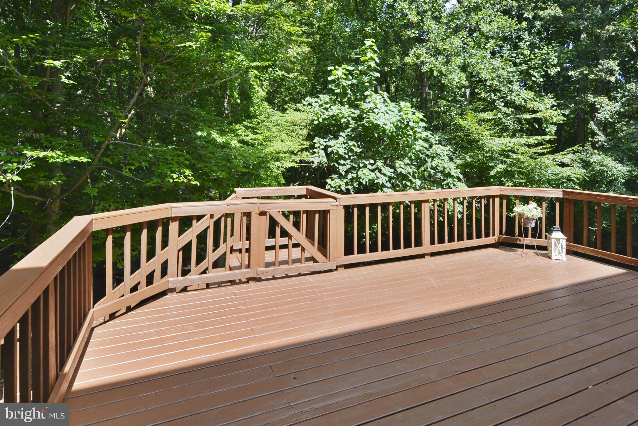 9002 Octavia Court Springfield, VA 22153 - Photo 8 of 29 Enormous Back Deck Great for Entertaining