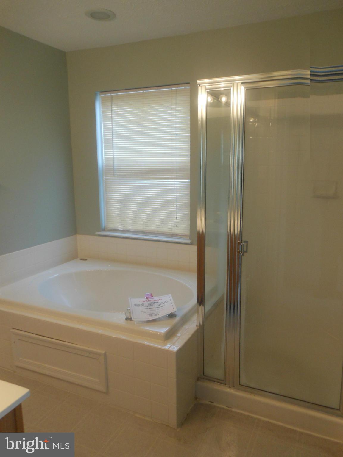 9815 Finsbury Road Baltimore, MD 21237 - Photo 9 of 13 Bath (Master)