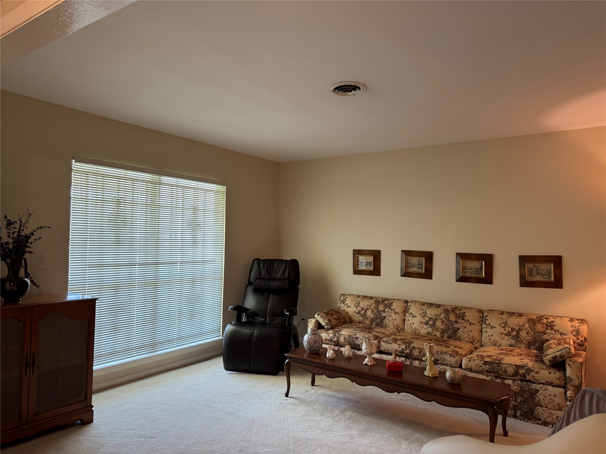 203 East Thornton Road Houston, TX 77022 - Photo 4 of 18 Another view of living room with neutral walls and carpet, featuring a large window that brings in natural light.