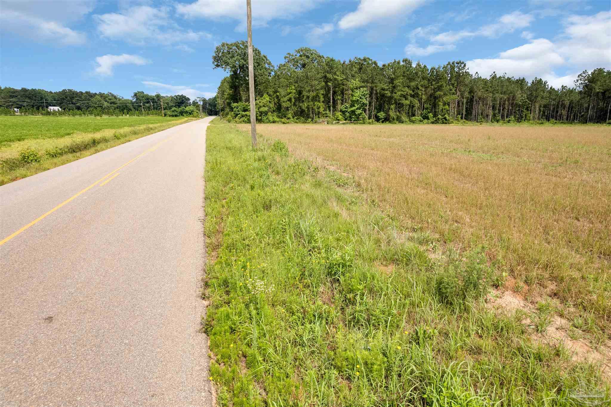 0 Smithfield Road Atmore, AL 36502 - Photo 6 of 8