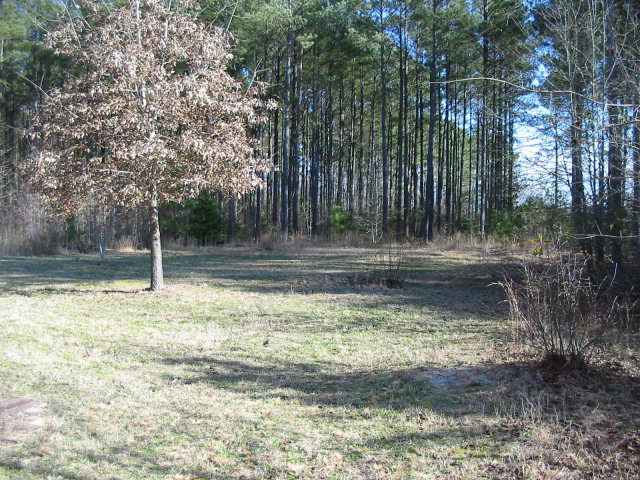 7781 Old Smithfield Road Bailey, NC 27807 - Photo 19 of 19 Additional Photo