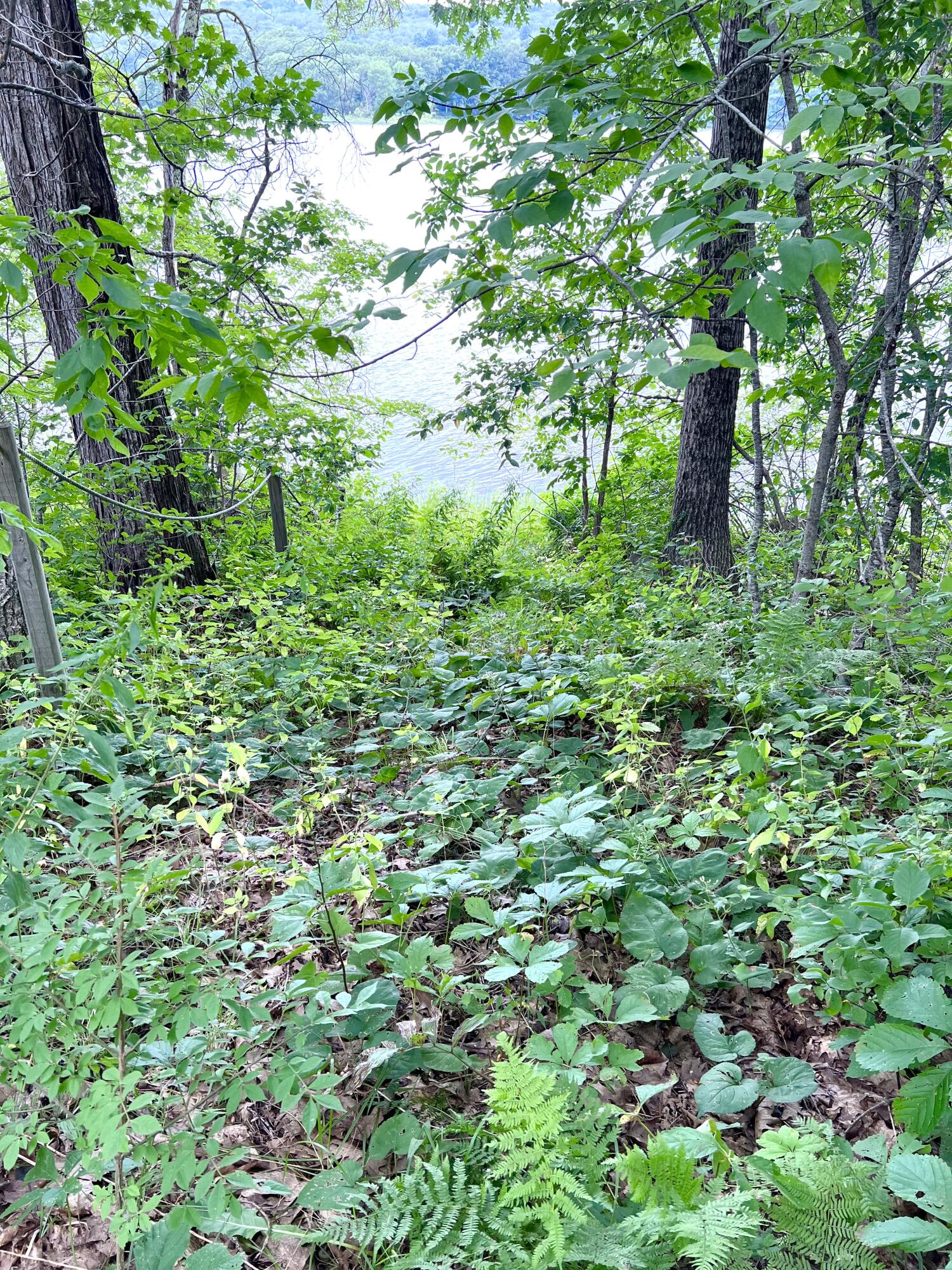 89 Seven Tree Lane Warren, ME 04864 - Photo 34 of 34 IMG_4045