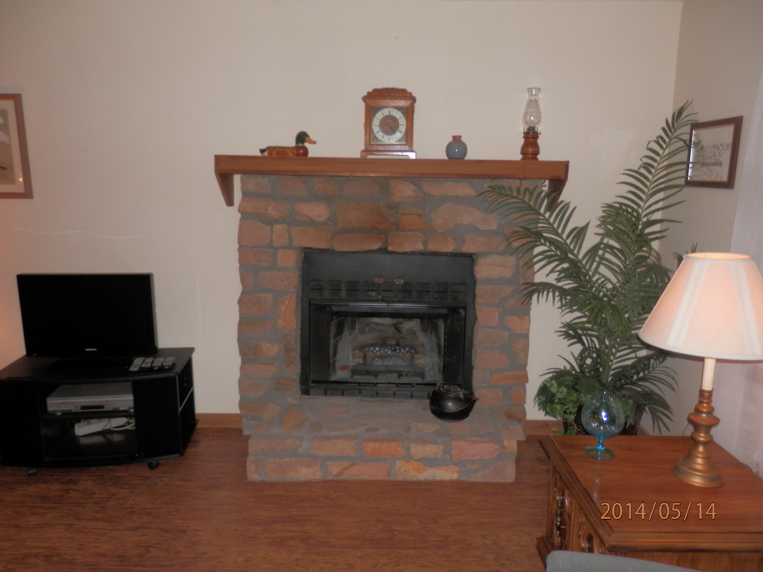 370 Boat Gunnel Road Townsend, TN 37882 - Photo 15 of 28 Gas log fireplace