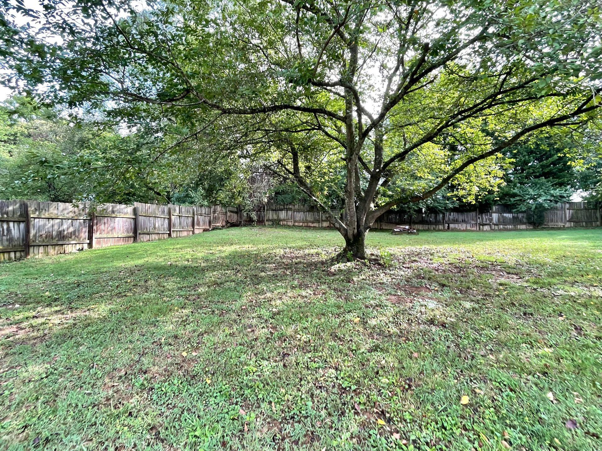 2540 Spring Road Southwest Roanoke, VA 24015 - Photo 48 of 54 Yard view