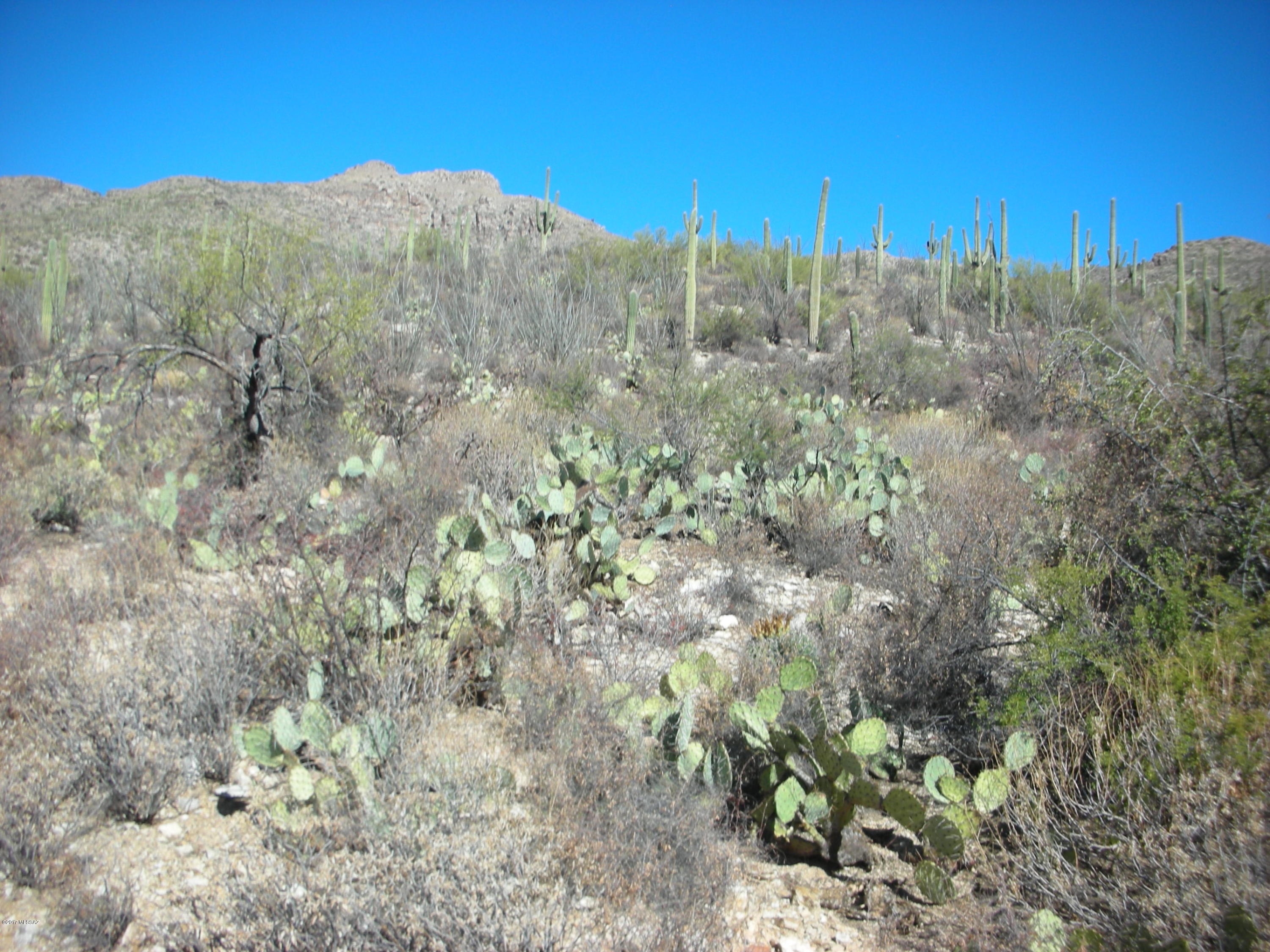 5240 North Mt Lemmon Short Road, Unit 5 Tucson, AZ 85749 - Photo 16 of 19