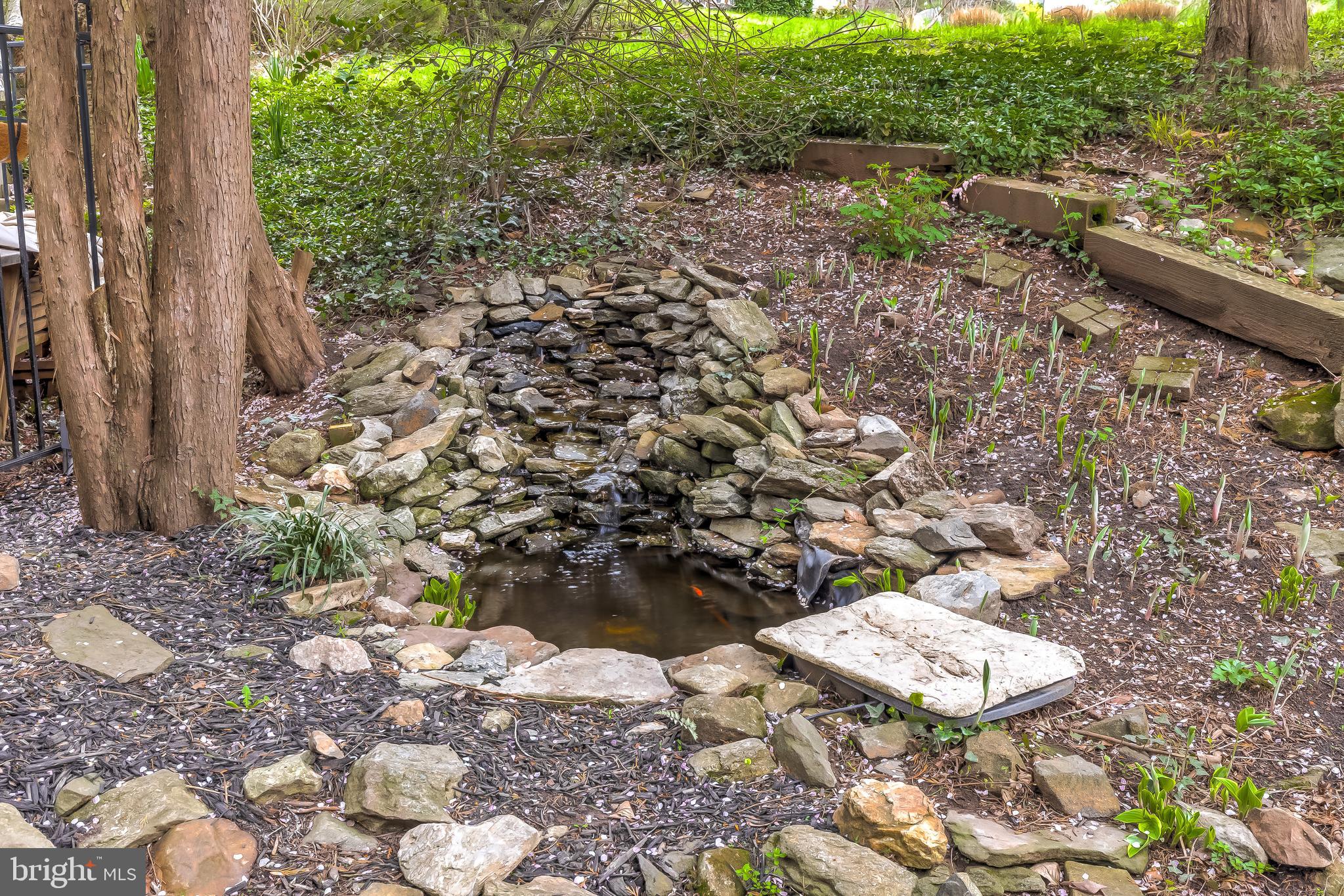 5854 Pimlico Road Baltimore, MD 21209 - Photo 18 of 48 If you look you can see the fish