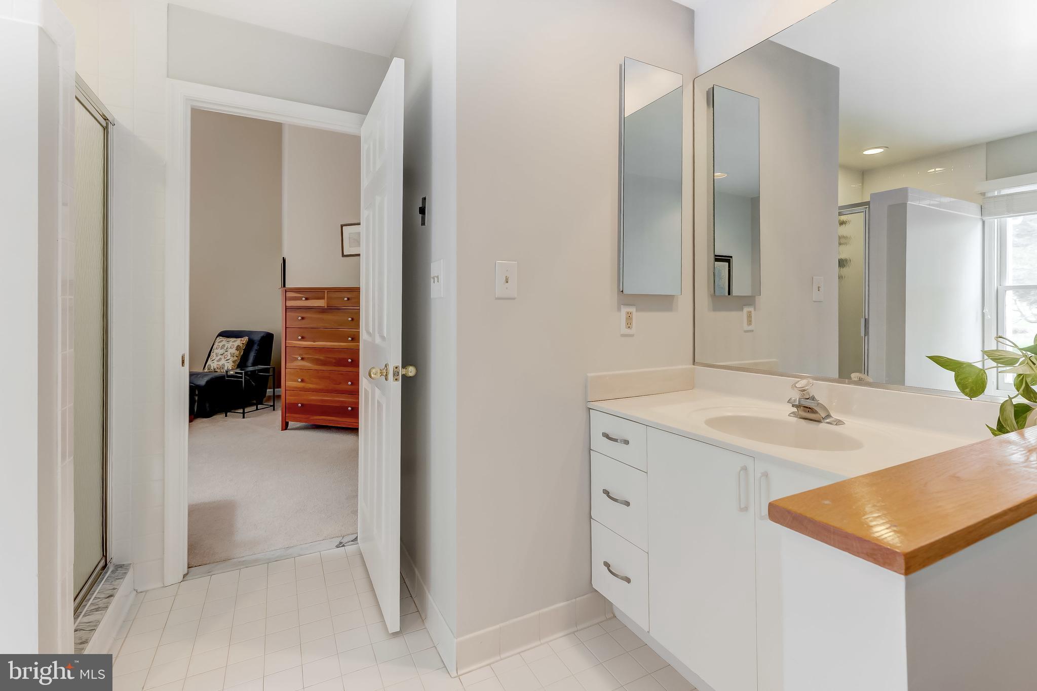 5854 Pimlico Road Baltimore, MD 21209 - Photo 25 of 48 Primary bath