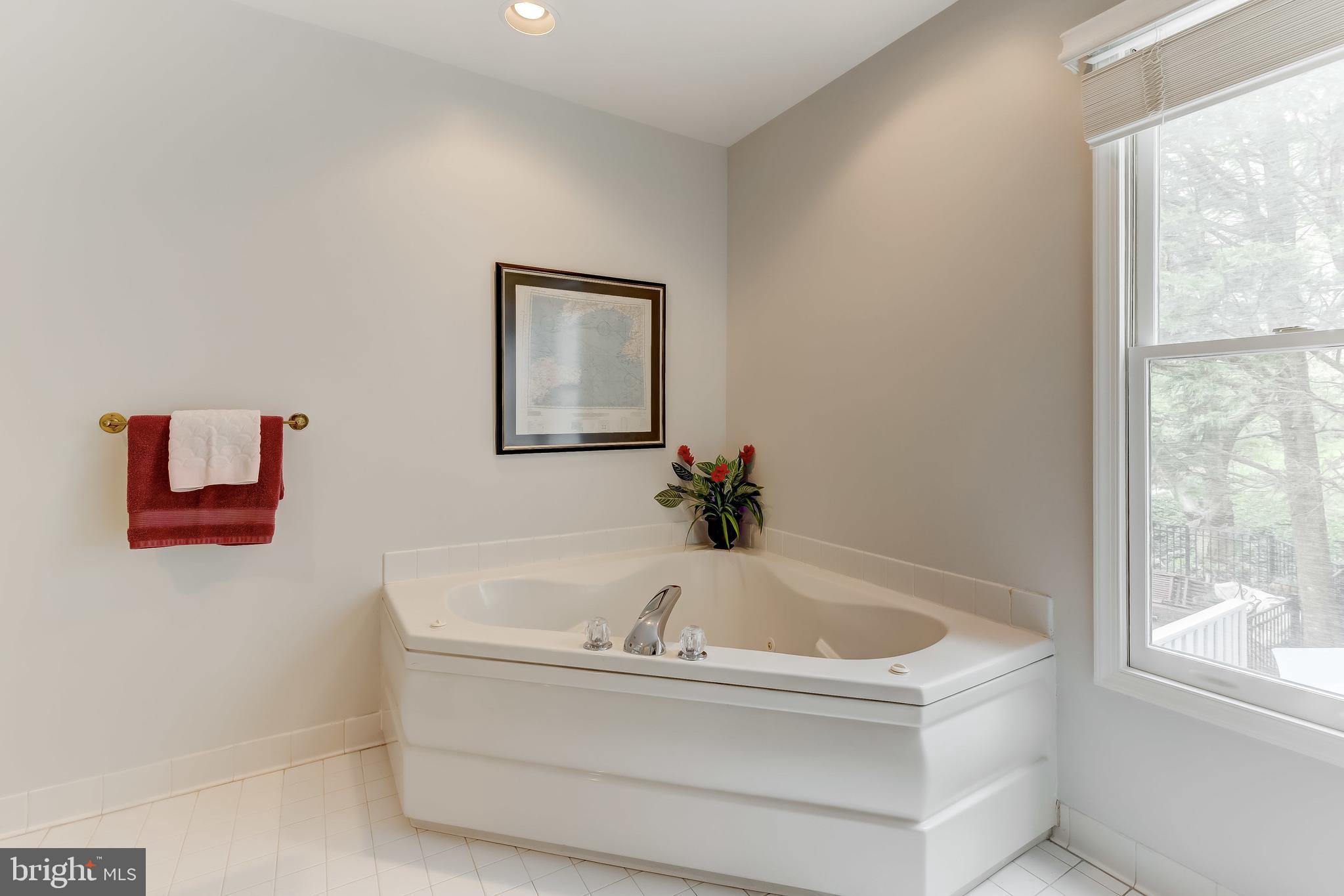 5854 Pimlico Road Baltimore, MD 21209 - Photo 26 of 48 Jacuzzi