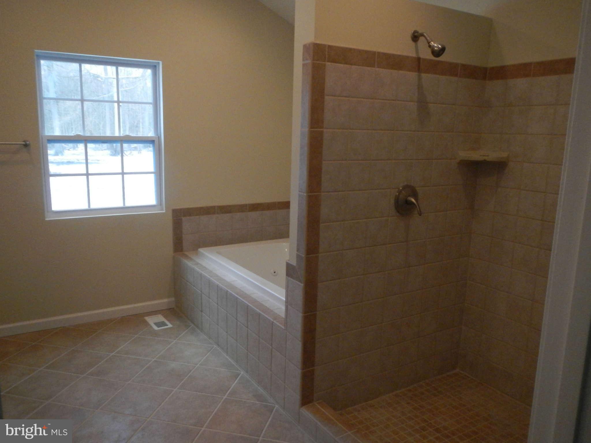 16601 Livingston Road Accokeek, MD 20607 - Photo 9 of 18 Bath (Master)