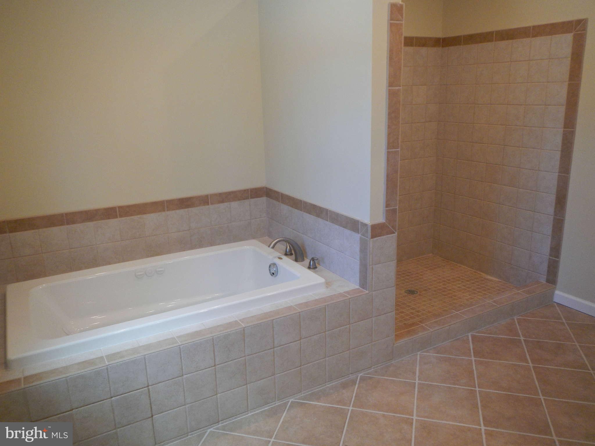 16601 Livingston Road Accokeek, MD 20607 - Photo 10 of 18 Bath (Master)