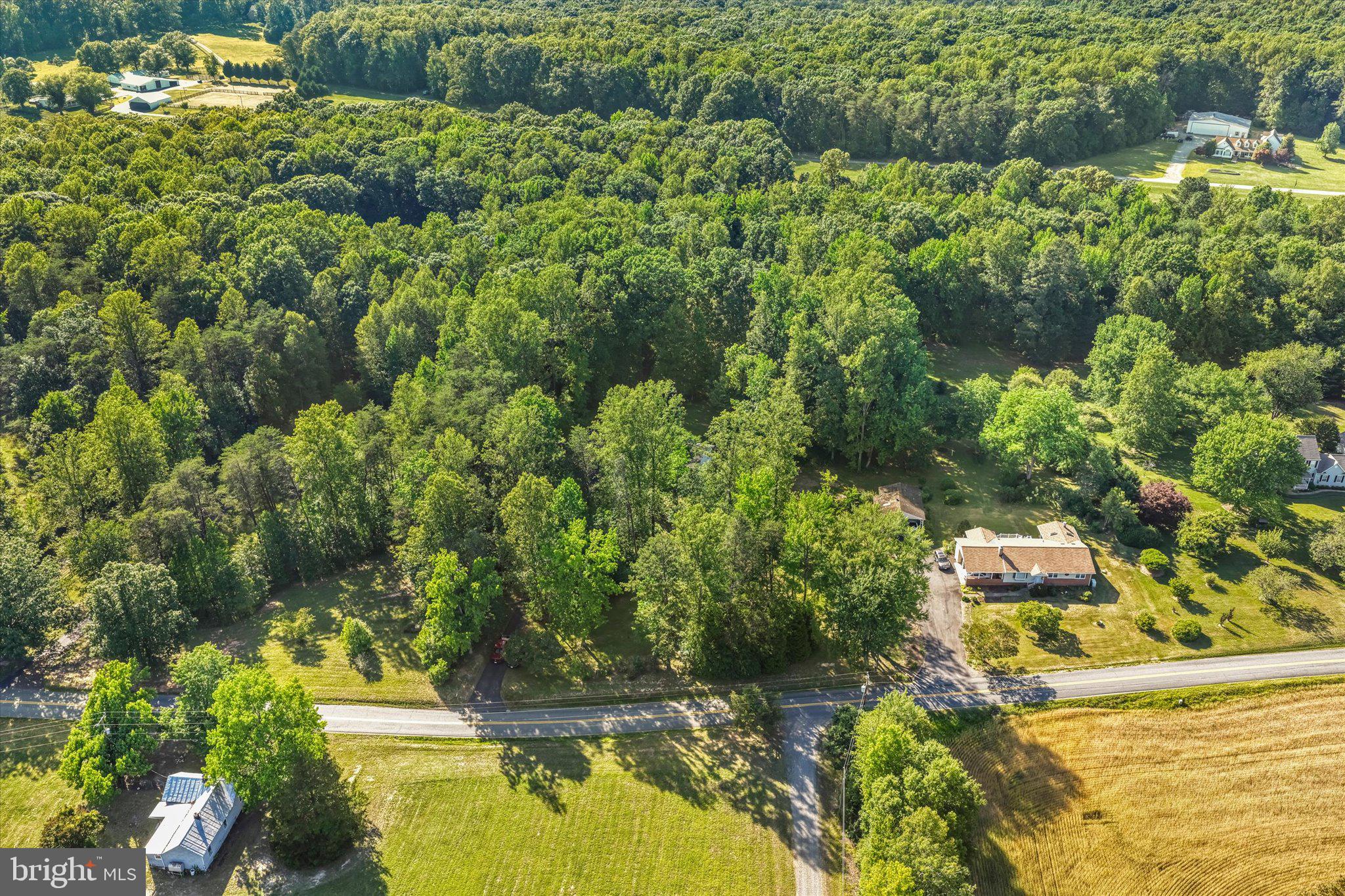 230 Richards Ferry Road Fredericksburg, VA 22406 - Photo 66 of 96 Your very own secret garden.