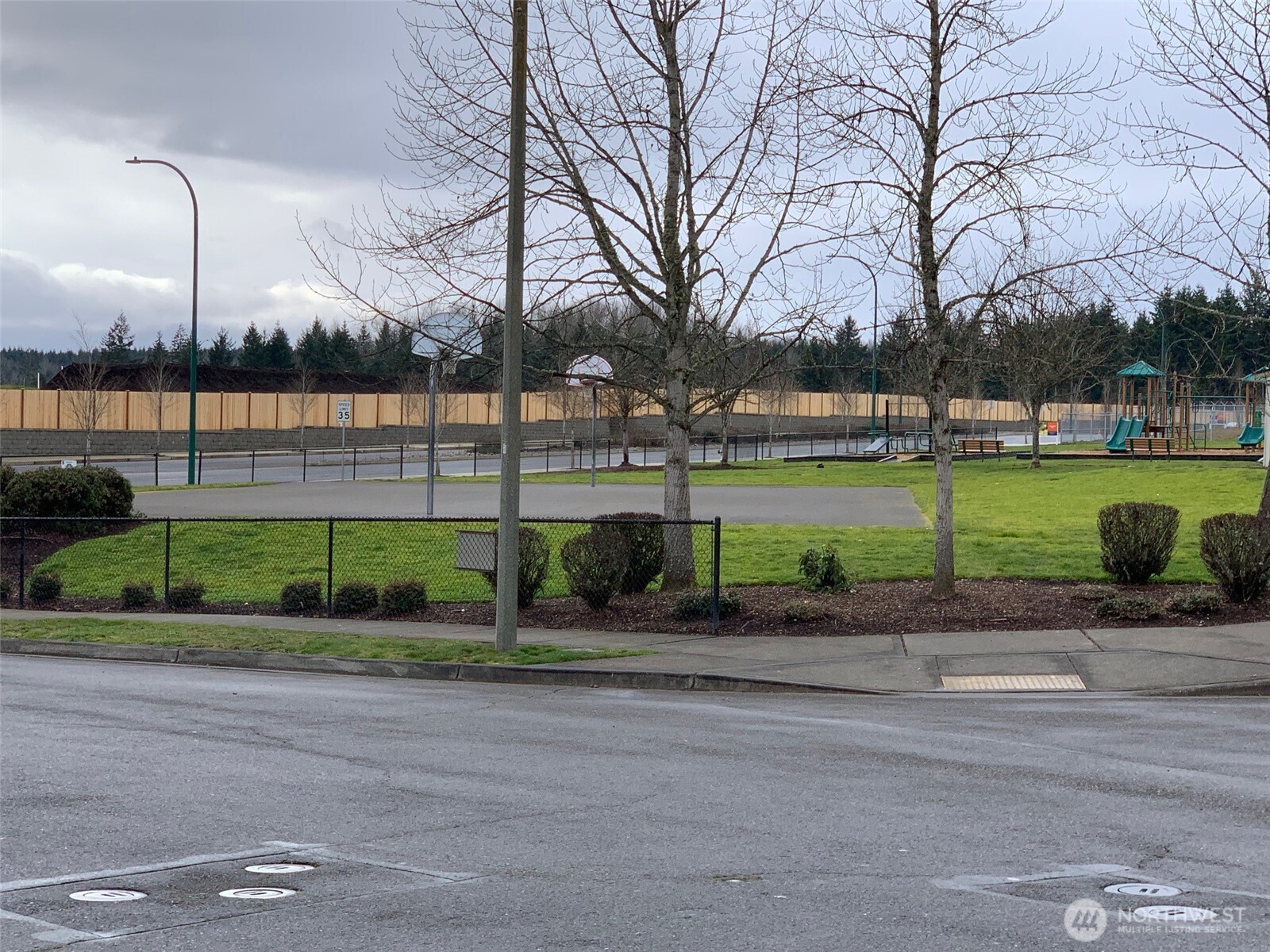 9976 Charles Street Southeast Yelm, WA 98597 - Photo 28 of 30 a view of a yard