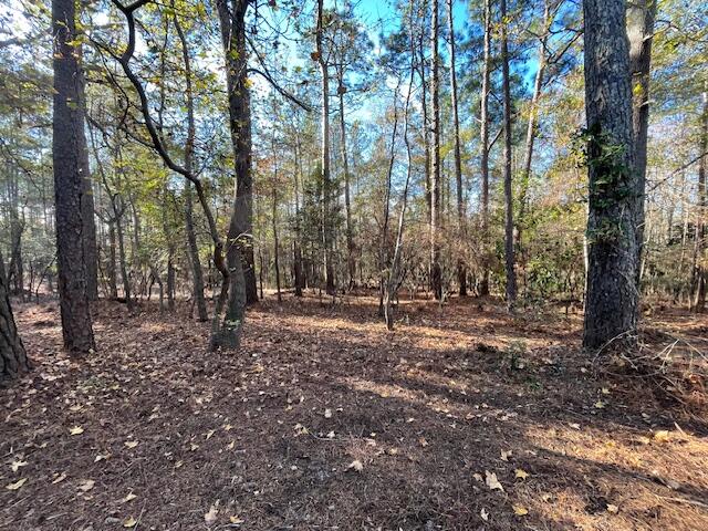 1058 Wright Mills Road Aiken, SC 29801 - Photo 2 of 5