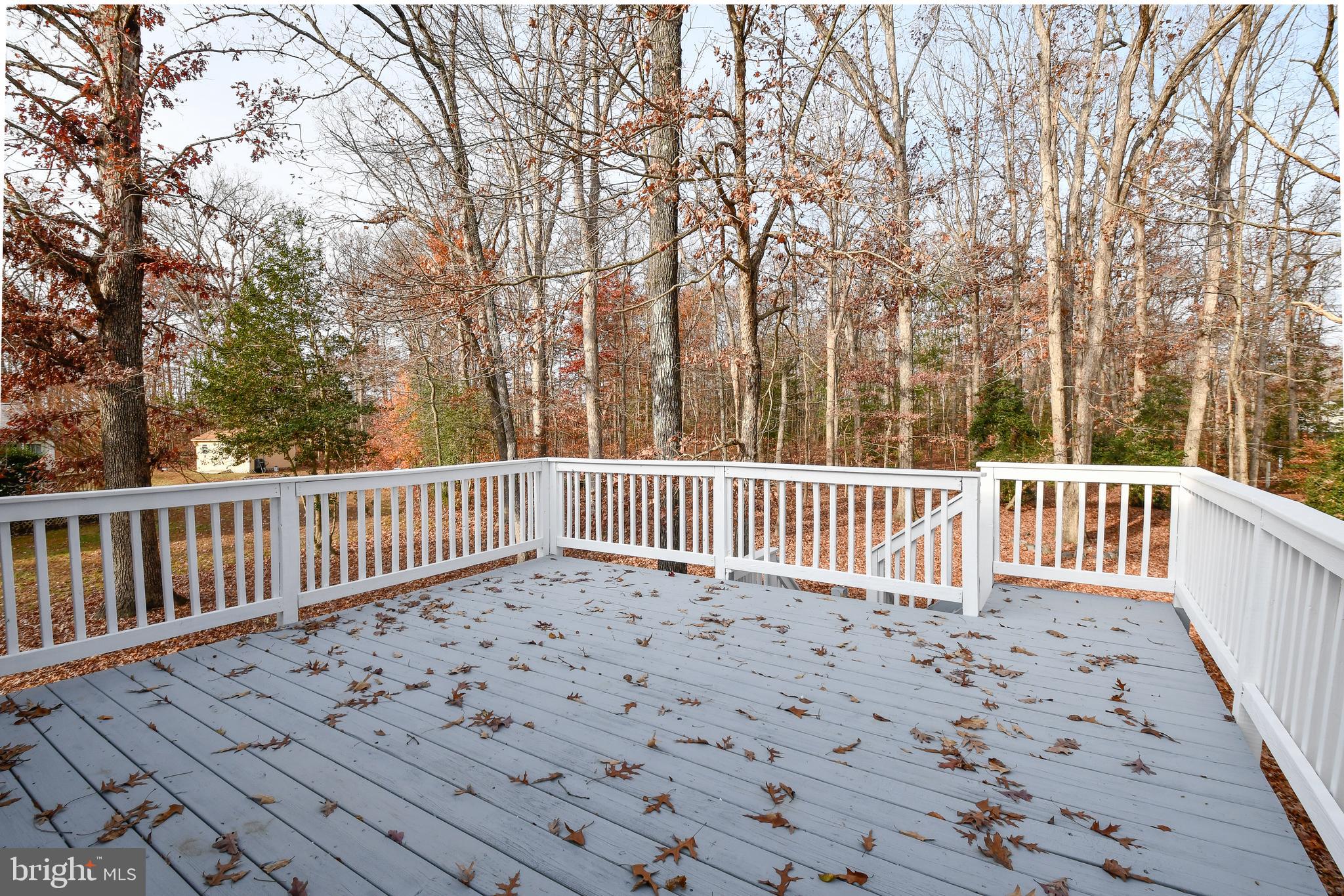 5515 South Branch Road Fredericksburg, VA 22407 - Photo 33 of 38