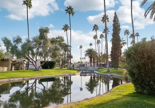 a view of a backyard with plants and swimming pool
