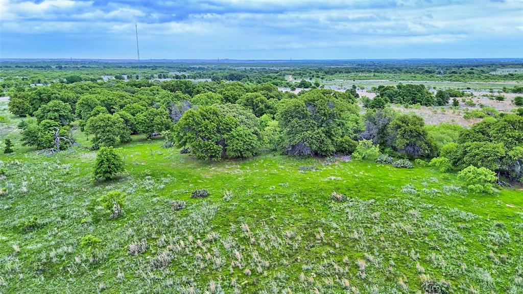 0 Watson Road Windthorst, TX 76389 - Photo 1 of 27 a view of a green field
