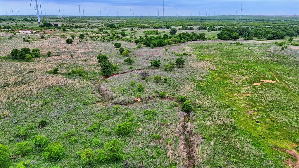 0 Watson Road Windthorst, TX 76389 - Photo 11 of 27 a view of a lush green forest with lots of trees