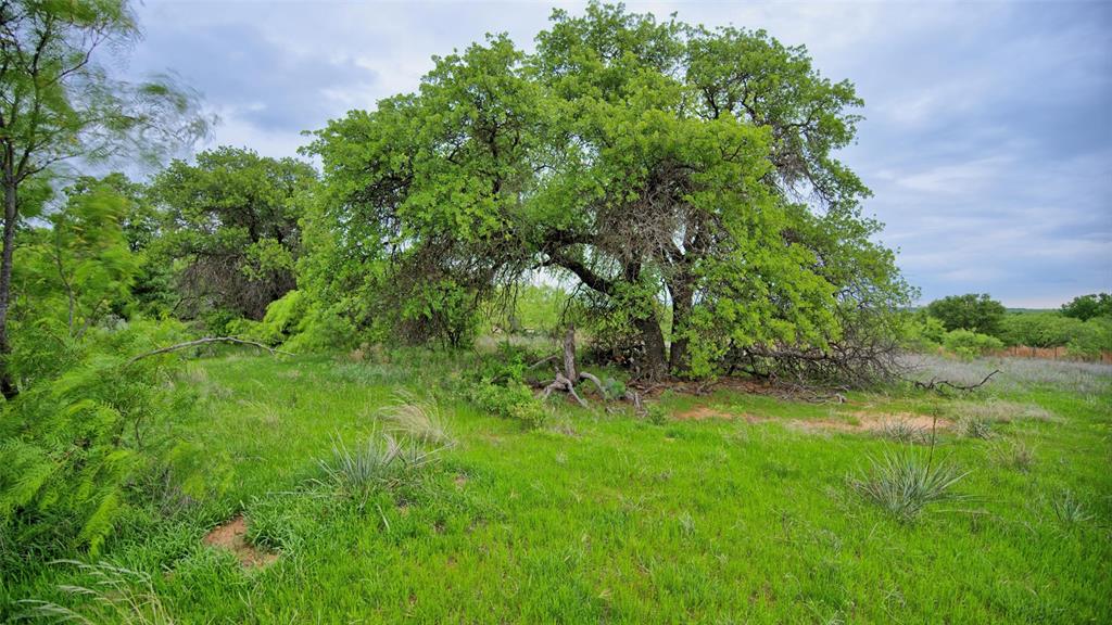0 Watson Road Windthorst, TX 76389 - Photo 12 of 27 a view of a lush green space