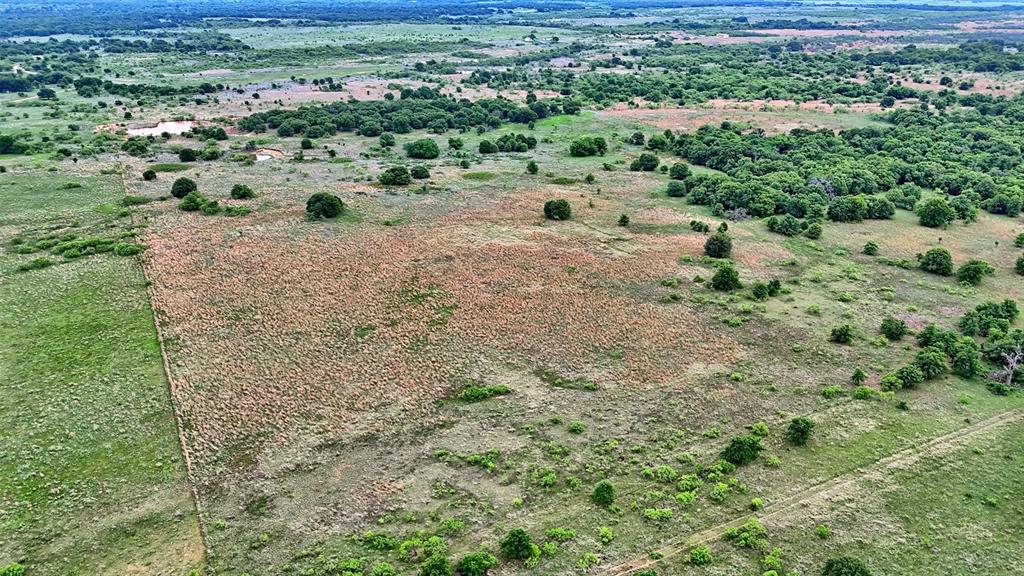 0 Watson Road Windthorst, TX 76389 - Photo 13 of 27 a view of a forest with a yard