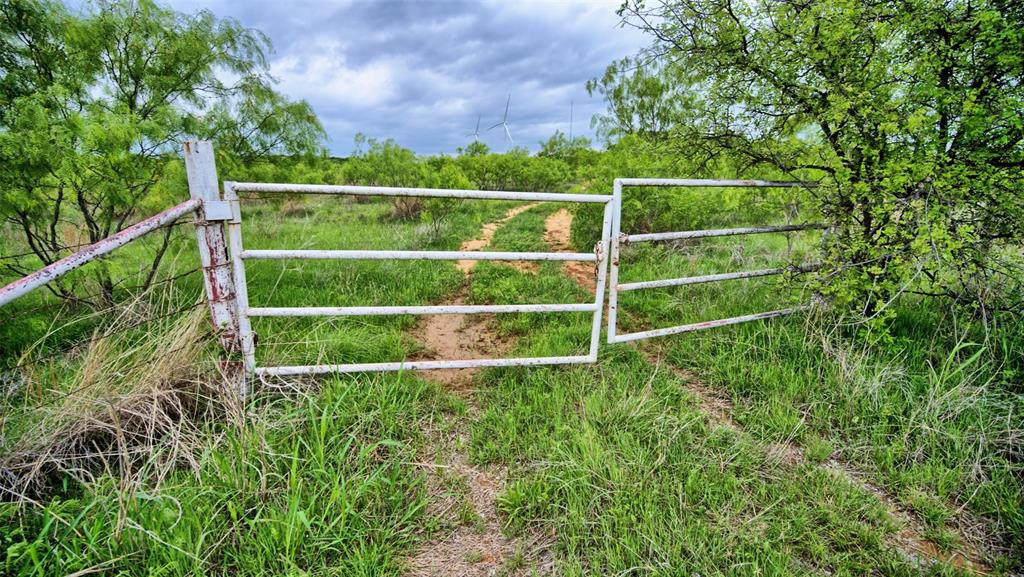 0 Watson Road Windthorst, TX 76389 - Photo 15 of 27 a view of a yard