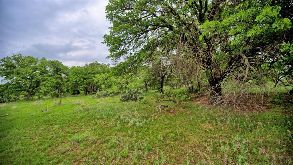 0 Watson Road Windthorst, TX 76389 - Photo 17 of 27 a view of a lush green space