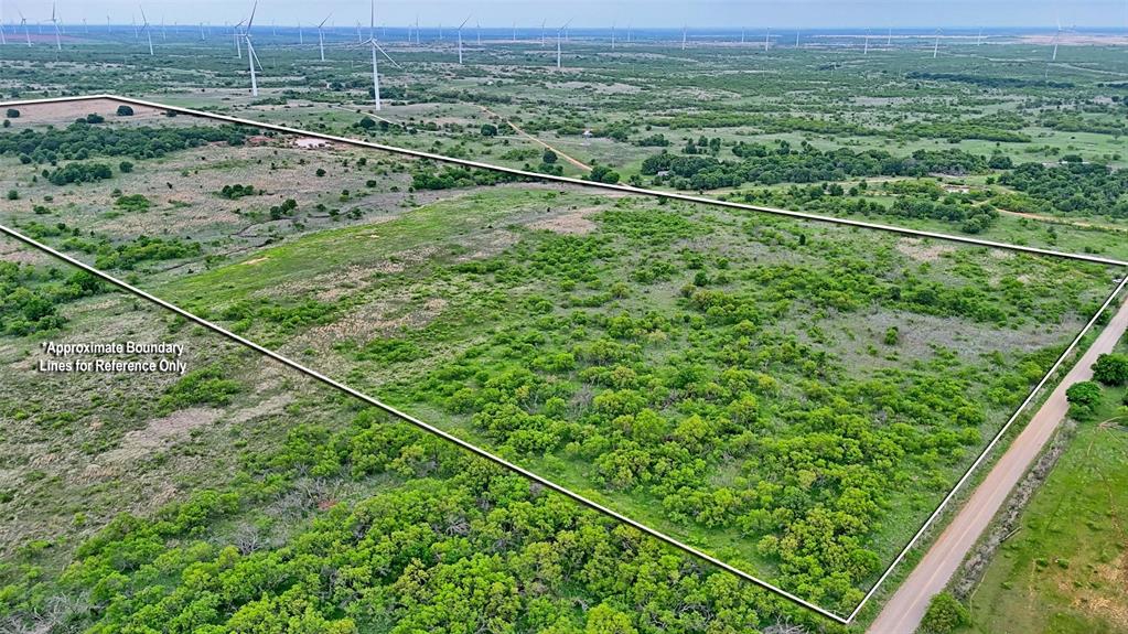 0 Watson Road Windthorst, TX 76389 - Photo 24 of 27 a view of a lush green forest with a mountain